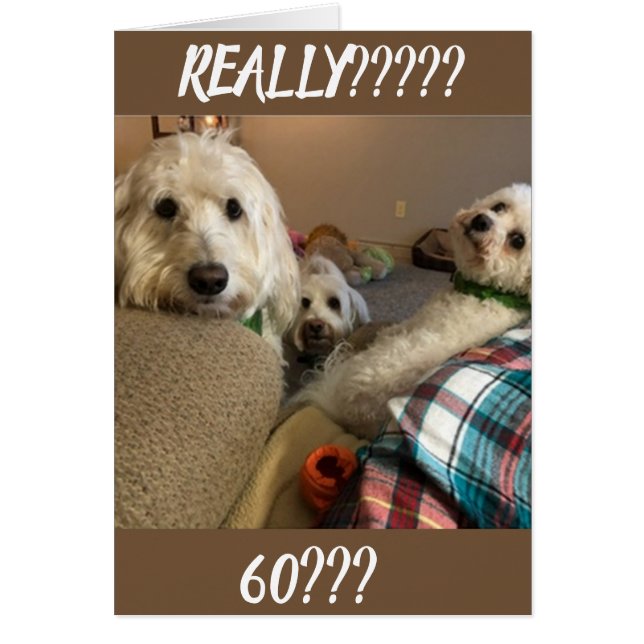 CARTÃO **NUNCA TERIA ACHADO** QUE VOCÊ NÃO PODE SER ***60 (Frente)