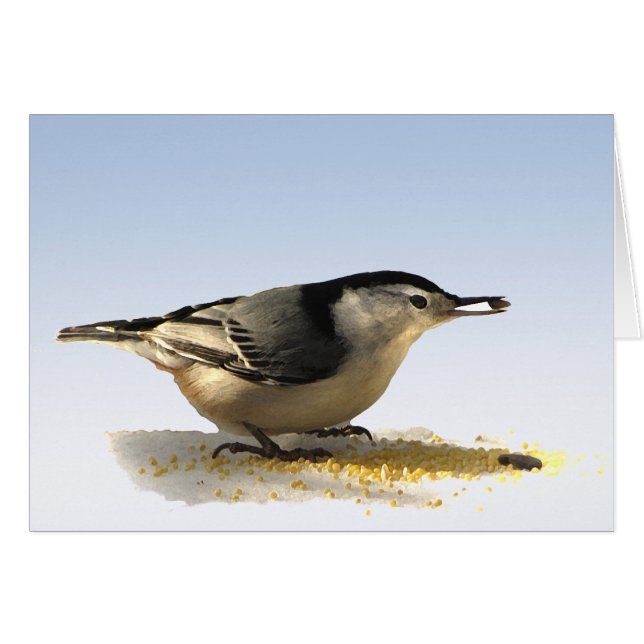 Cartão Nuthatch de peito branco (Frente Horizontal)