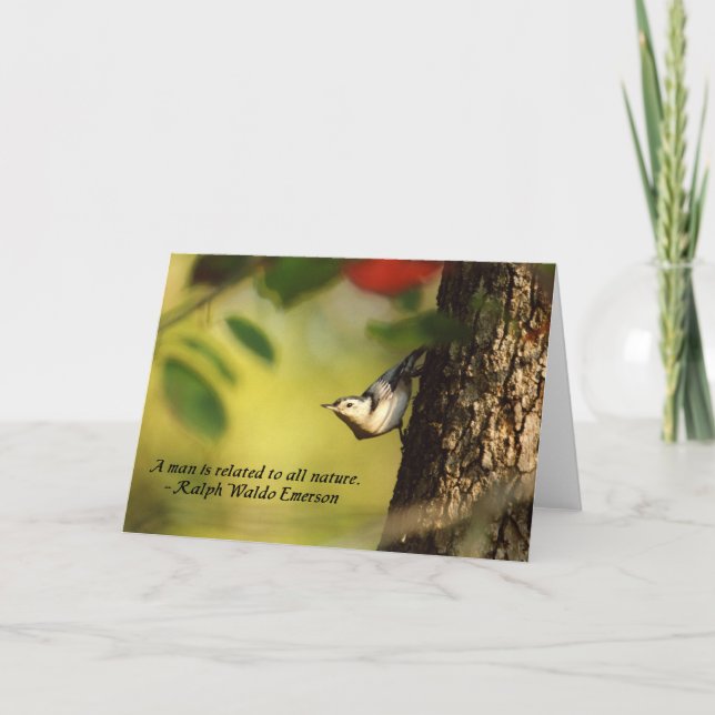 Cartão Nuthatch Greeting Card (Frente)