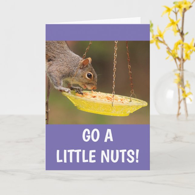 Cartão Nutty Squirrel Birthday (Flor Amarela)