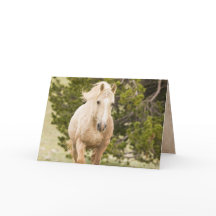 Nuvem vem o Cartaz de Saudação do Cavalo Selvagem