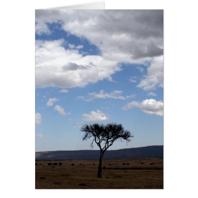 Cartão nuvens de árvores a solo (Frente)