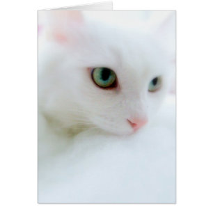 Cartão Nuvens macias