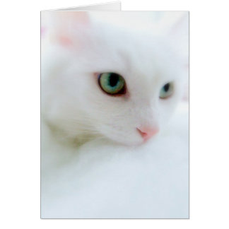 Cartão Nuvens Suaves