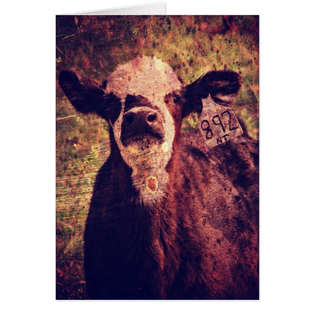 Cartão O Adorável Vitelo Todas As Ocassões (Frente)