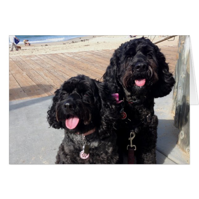 Cartão O amor carda para sempre (Frente Horizontal)