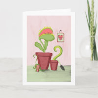 O Amor Cresce Aqui: Plantas em Vasos Excêntricas