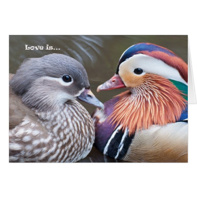 Cartão O amor é... Mandarinas (Frente Horizontal)