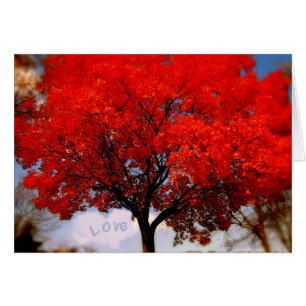 Cartão O amor está no ar...