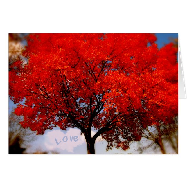 Cartão O amor está no ar... (Frente horizontal)