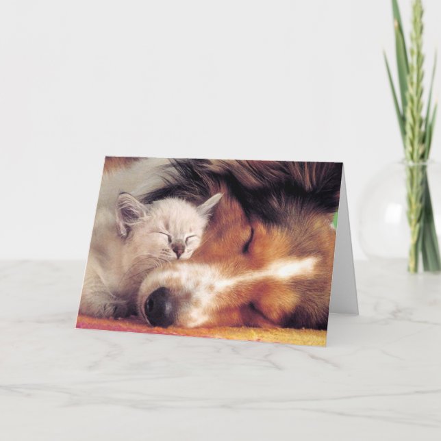 Cartão O Amor Não é Magnífico (Frente)