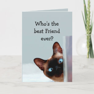 Cartão O aniversário engraçado do amigo deseja o gato
