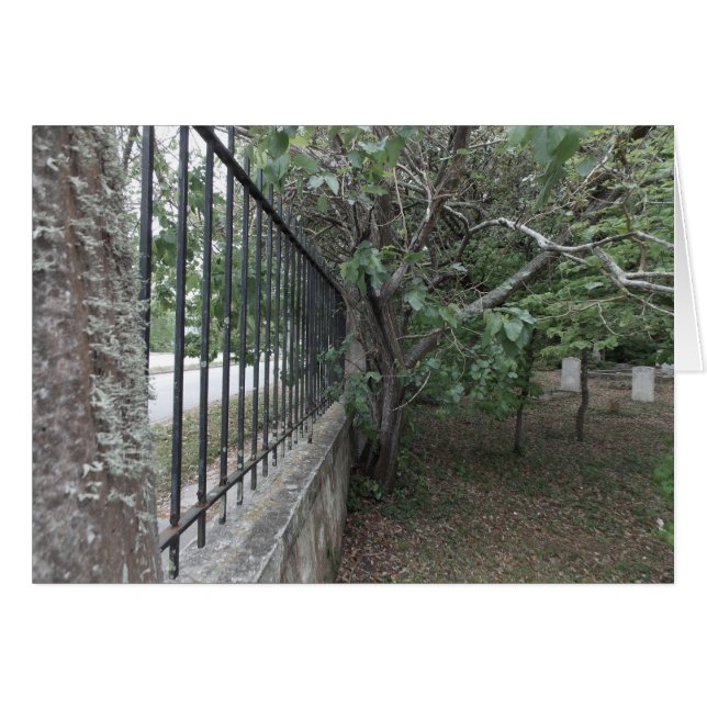 Cartão O Antigo Chão de Enterramento (Frente Horizontal)