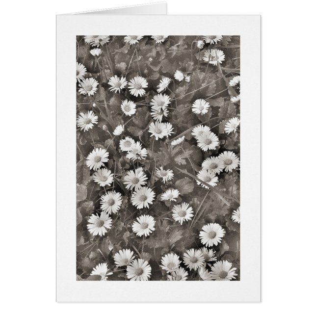 Cartão O Antigo das Visitas (Frente)