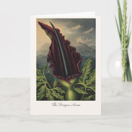Cartão O Arum do Dragão — Reinterpretação Botânica Modern