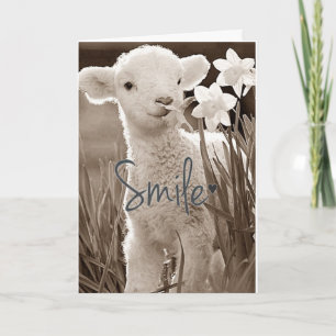CARTÃO **O BABY LAMB É TÃO FELIZ POR VOCÊ*