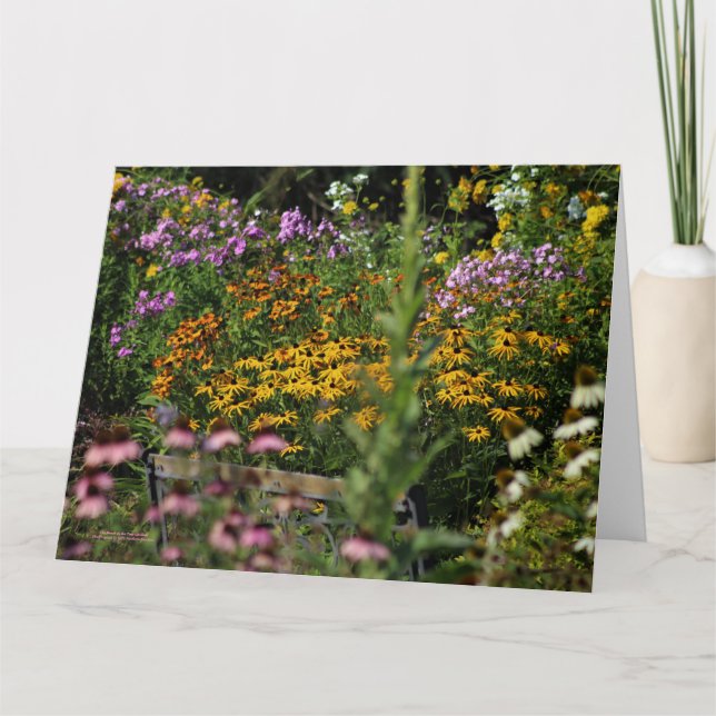 Cartão O Banco dos Jardins de Tensão (Frente)