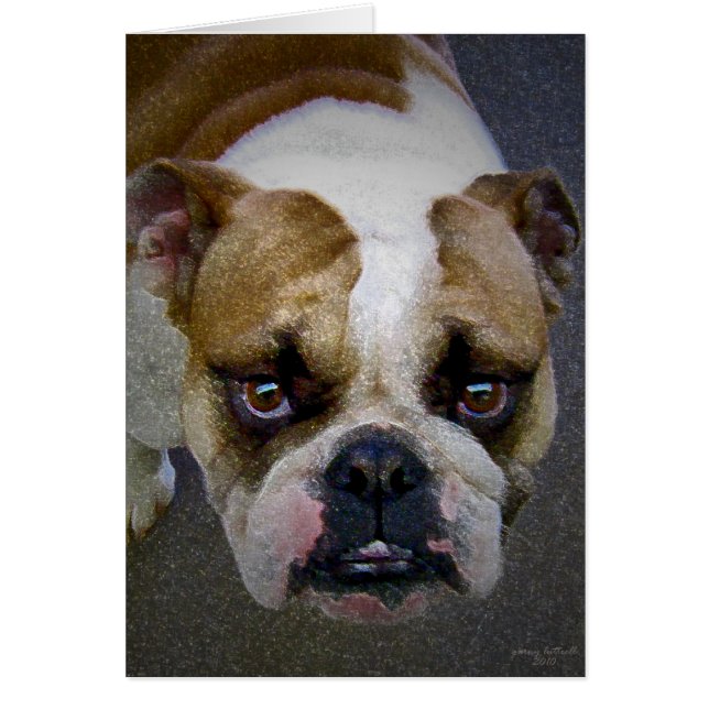 Cartão O Bulldog (Frente)