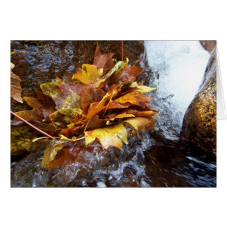 Cartão O buquê da natureza