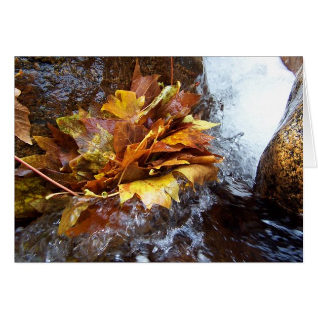 Cartão O buquê da natureza (Frente Horizontal)