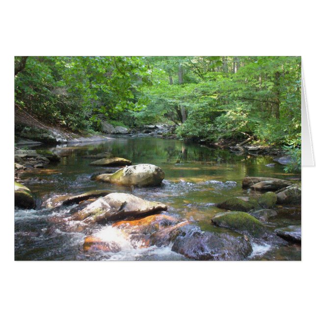 Cartão O Buraco de Natação 032 (Frente horizontal)