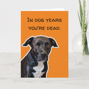 Cartão O Cachorro Engraçado Adora Aniversário - Em Anos