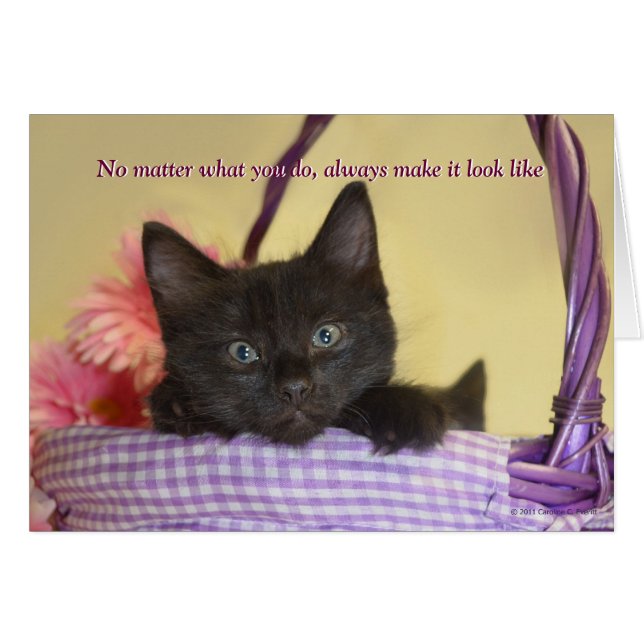 Cartão O Cachorro Fez (Frente Horizontal)