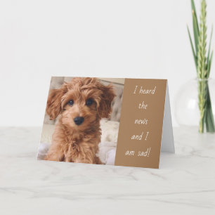 CARTÃO O CACHORRO FOI SÉRIO QUANTO VOCÊ FOI EMBORA!