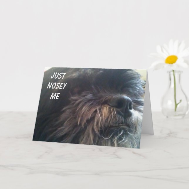 CARTÃO O CACHORRO NOSY PERGUNTA "VOCÊ TEM 50 ANOS?" DIVER (Planta pequena)