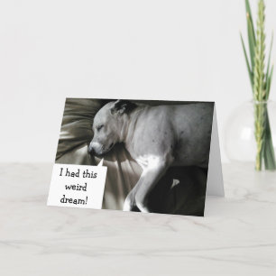 CARTÃO O CACHORRO POBRE TINHA UM PESADELO "SEU 30!"