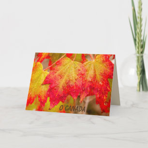 CARTÃO O CANADÁ