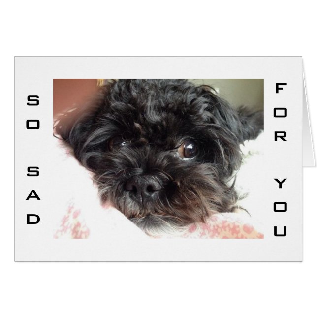 CARTÃO O CÃO POBRE É TÃO TRISTE U R RODANDO 40 (Frente Horizontal)