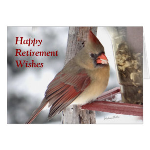 Cartão O cardeal 6649 xc - personalize