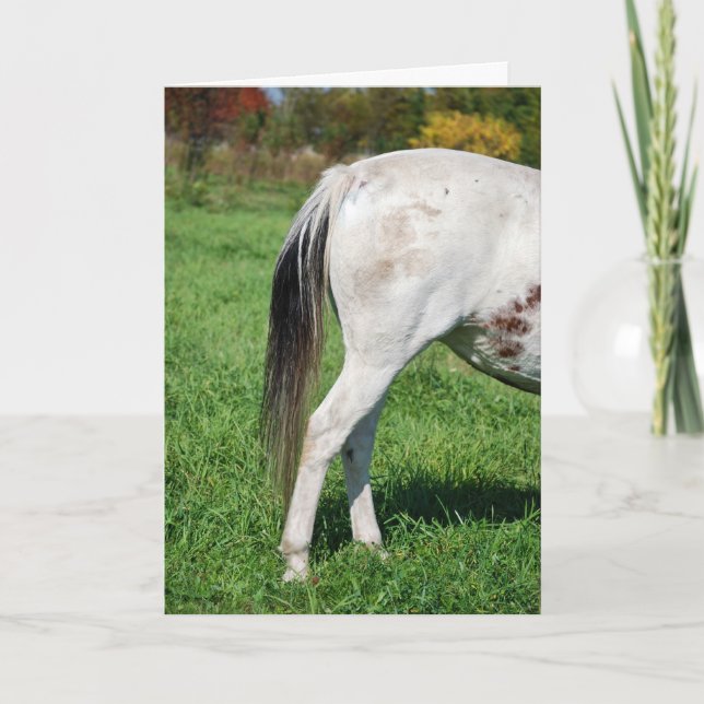 Cartão O cavalo está do lado de trás para o adeus (Frente)