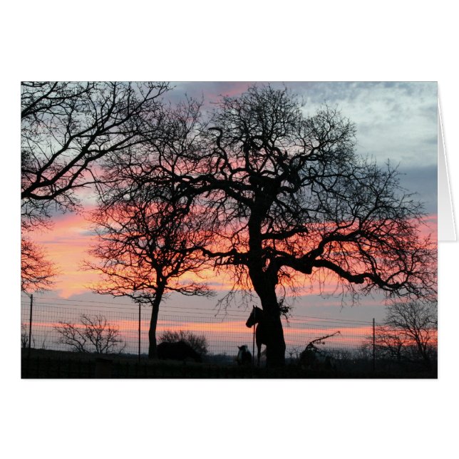 Cartão O céu mágico (Frente Horizontal)