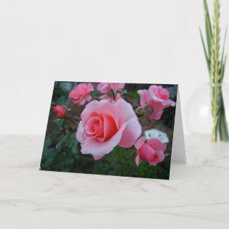 Cartão O citrino amola