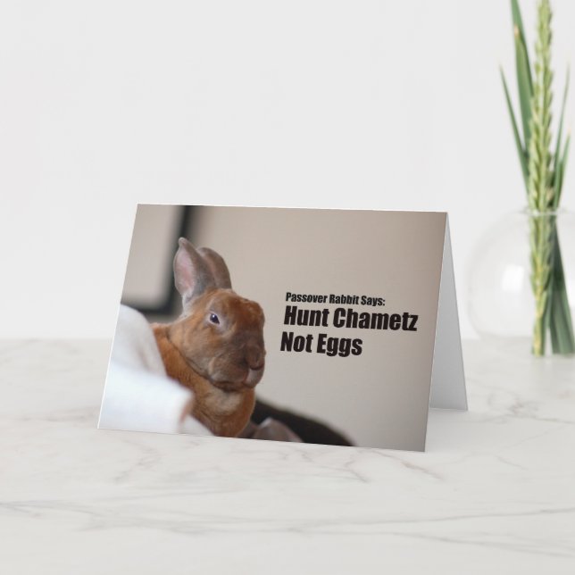 Cartão O coelho do Passover diz: (Frente)