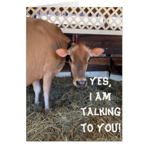 CARTÃO O CORAÇÃO DA VACA BATEU 70 VEZES POR MINUTO POR "V