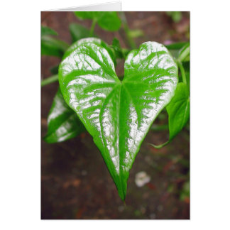 Cartão o coração das coisas...