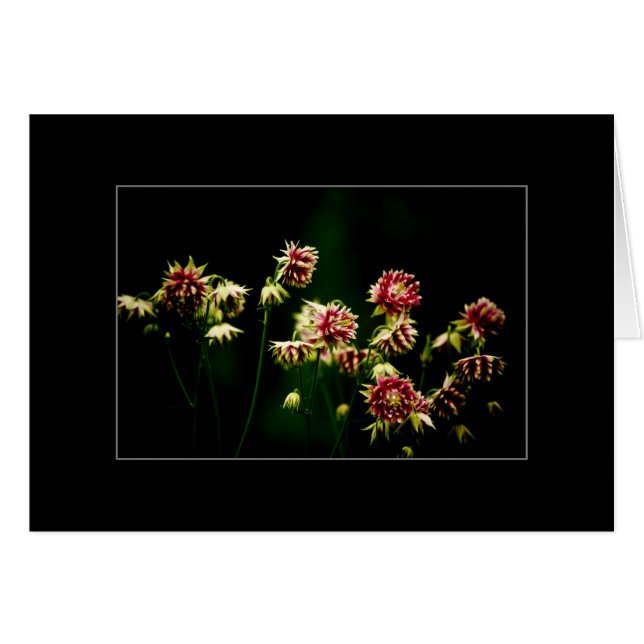 Cartão O coro do primavera (Frente Horizontal)