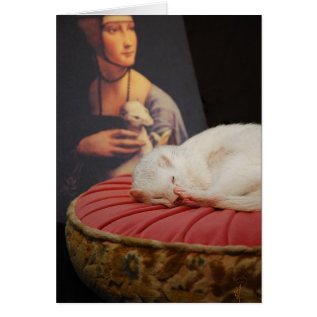 Cartão O coussin do sur de Furet aumentou II (Frente)