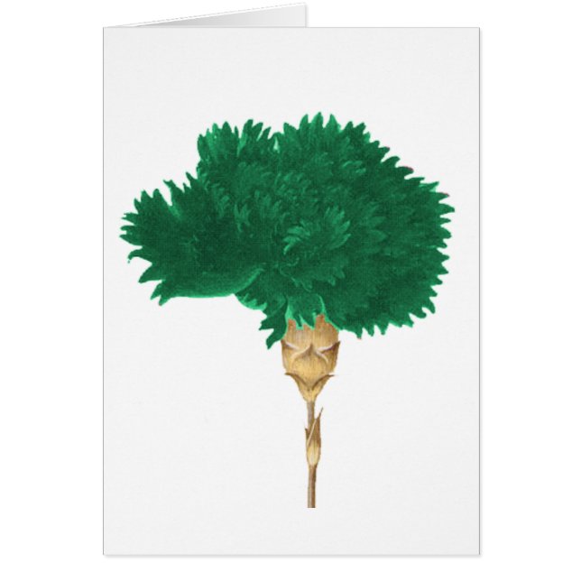 Cartão O culto de Wilde (Frente)