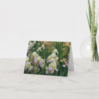 Cartão O dia novo jardina íris 'Enriched de Notecard-