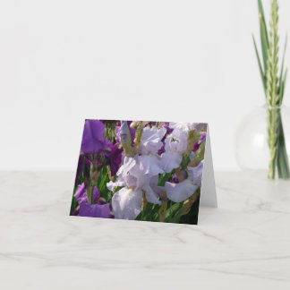 Cartão O dia novo jardina o Pride de Eelanor da
