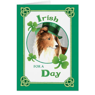 Cartão O dia Sheltie de St Patrick