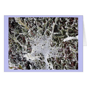 Cartão O discurso do Titania