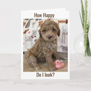 CARTÃO O DOODLE PUP DESEJA **UM ANIVERSÁRIO FELIZ TARDE**