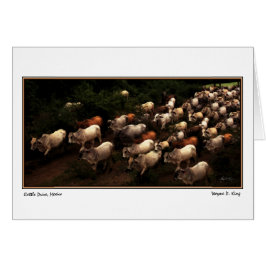 Cartão O Drive Home, México