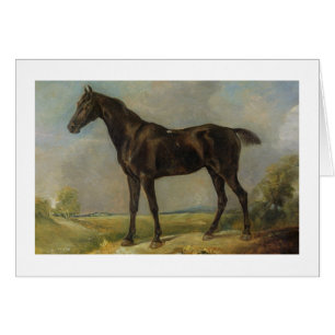 Cartão O Equitação-Cavalo preto do polícia de Golding,