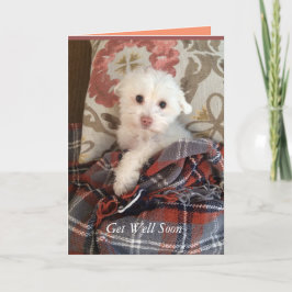 Cartão O filhote de cachorro branco sob uma cobertura